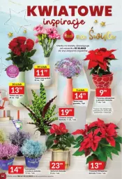 Gazetka promocyjna Twoj Market - Gazetka - ważna od 12.12 do 12.12.2023 - strona 28 - produkty: Róża, Wazon, Bukiet