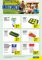 Gazetka promocyjna Makro - [Oferta specjalna] Długi weekend czerwcowy - Gazetka - ważna od 05.06 do 05.06.2021 - strona 2 - produkty: Glazura, Por, Krewetki, Lazur, Sandacz, Pomidory, Mięta