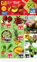 Gazetka promocyjna Kaufland - Mocny Start - Gazetka - ważna od 05.07 do 05.07.2023 - strona 7 - produkty: Gra, Ananas, Kalanchoe, Sałat, Winogrona, Bukiet, Wino, Grunt, Mango, Kukurydza, Jabłka