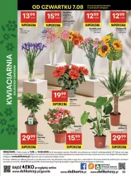 Gazetka promocyjna Delikatesy Centrum - Franczyza DC32 Czwartek - Gazetka - ważna od 13.08 do 13.08.2025 - strona 52 - produkty: Ser, Gin, Gra, Gerber, Hibiskus, Bukiet