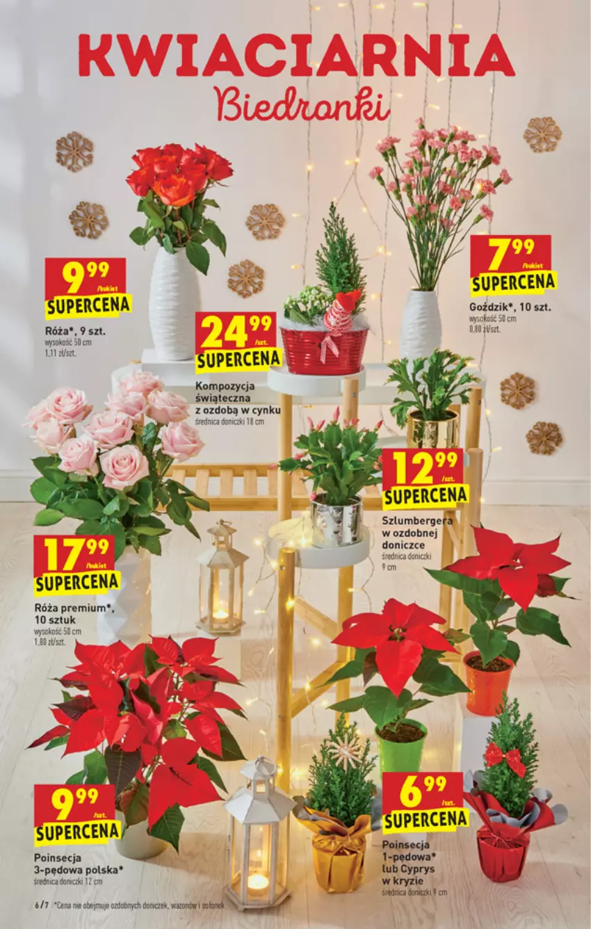 Gazetka promocyjna Biedronka - W tym tygodniu - ważna 29.11 do 04.12.2021 - strona 6 - produkty: Cynk, Poinsecja, Róża