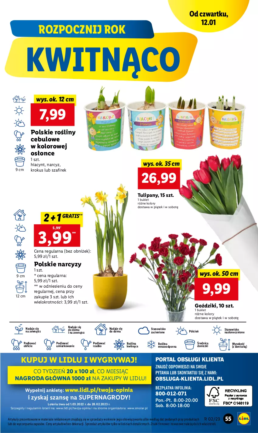 Gazetka promocyjna Lidl - GAZETKA - ważna 12.01 do 14.01.2023 - strona 57 - produkty: Bukiet, Cień, Gra, Gry, Hiacynt, Krokus, Mola, Narcyz, O nas, Por, Sok, Tulipan