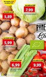 Gazetka promocyjna Lidl - GAZETKA - Gazetka - ważna od 14.01 do 14.01.2023 - strona 18 - produkty: Cebula, Sałata lodowa, Ziemniaki, Sałat, Seler naciowy, Pomidory