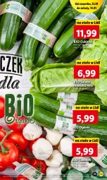 Gazetka promocyjna Lidl - GAZETKA - Gazetka - ważna od 14.01 do 14.01.2023 - strona 19 - produkty: Czosnek, Sałat