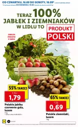 Gazetka promocyjna Lidl - GAZETKA - Gazetka - ważna od 19.09 do 19.09.2021 - strona 4 - produkty: Ziemniaki, Tera, Gala, Jabłka