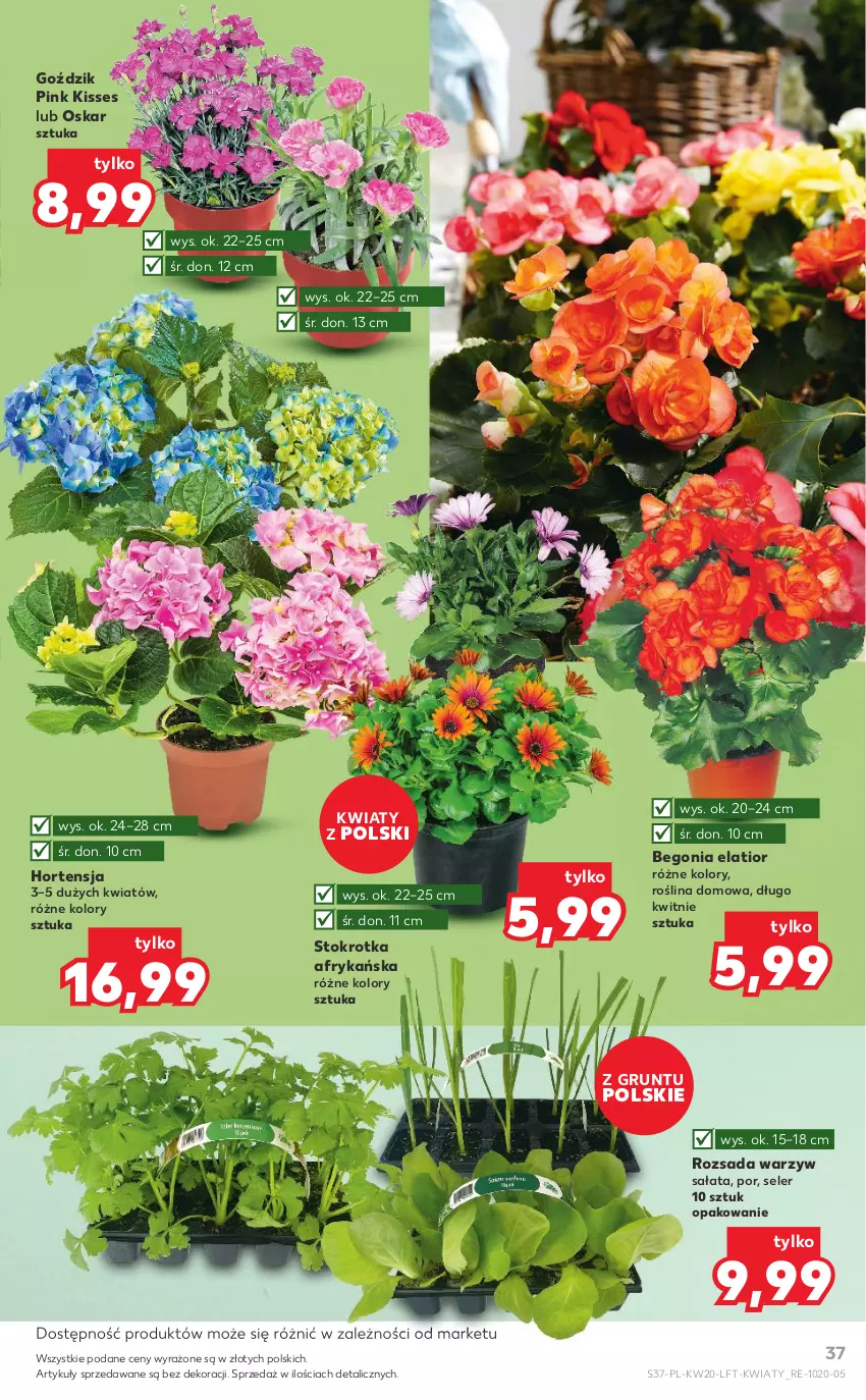 Gazetka promocyjna Kaufland - OFERTA TYGODNIA - ważna 19.05 do 25.05.2022 - strona 37 - produkty: Grunt, Por, Sałat