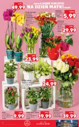 Gazetka promocyjna Kaufland - OFERTA TYGODNIA - Gazetka - ważna od 25.05 do 25.05.2022 - strona 10 - produkty: Ser, Tulipan, Róża, Storczyk, Bukiet