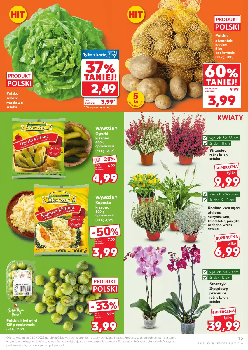 Gazetka promocyjna Kaufland - Gazetka tygodnia - ważna 25.09 do 01.10.2025 - strona 15 - produkty: Fa, Kiwi, Masło, Papryka, Sałat, Sałata masłowa, Storczyk, Ziemniaki