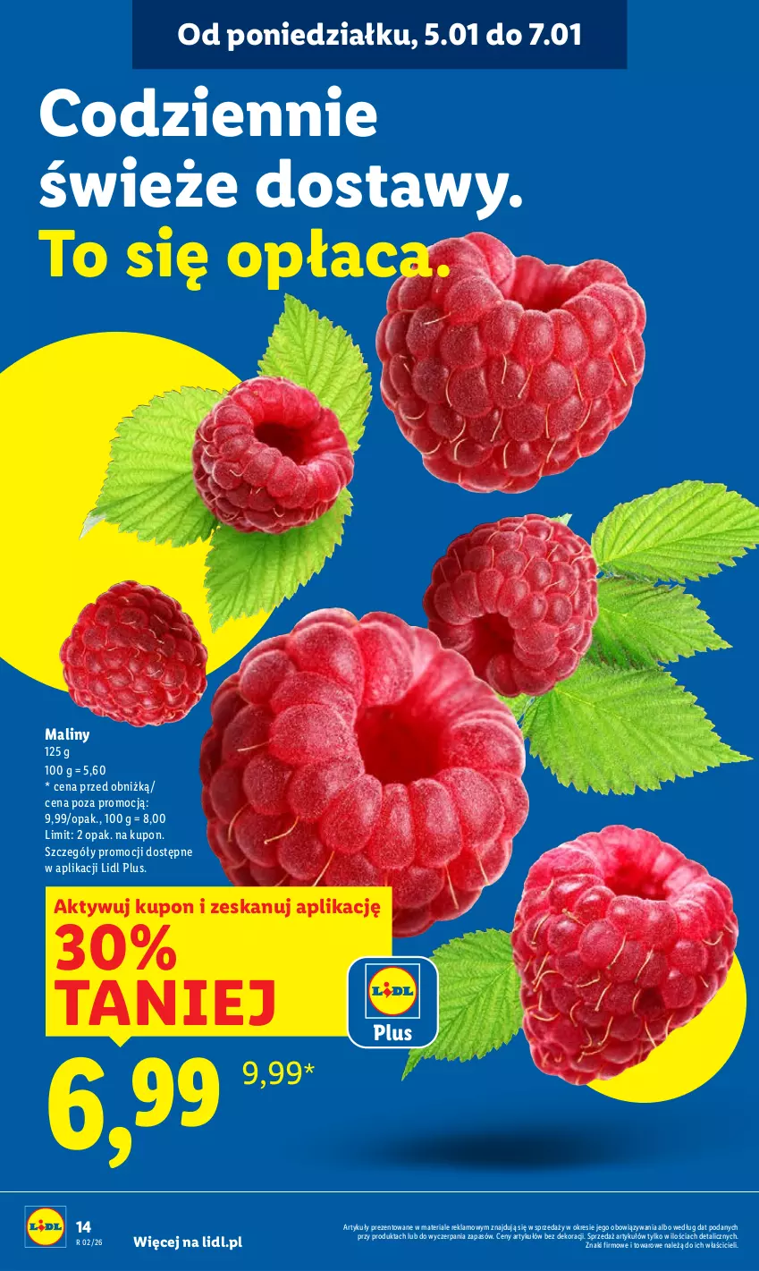 Gazetka promocyjna Lidl - GAZETKA - ważna 05.01 do 07.01.2026 - strona 16 - produkty: Maliny