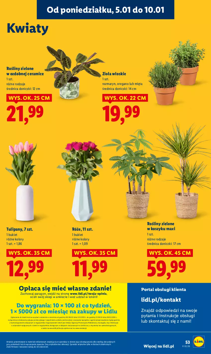 Gazetka promocyjna Lidl - GAZETKA - ważna 05.01 do 07.01.2026 - strona 55 - produkty: Bukiet, Gra, Kosz, Laur, Mięta, Mola, Por, Portal, Tulipan
