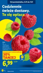 Gazetka promocyjna Lidl - GAZETKA - Gazetka - ważna od 07.01 do 07.01.2026 - strona 16 - produkty: Maliny