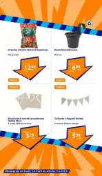 Gazetka promocyjna Action - Gazetka - ważna od 09.04 do 09.04.2024 - strona 11 - produkty: Orzechy włoskie, Gra, Girlanda, Flora, Hobby