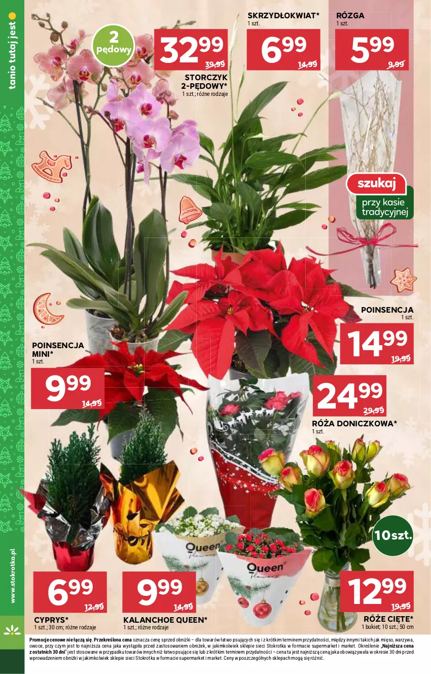 Gazetka promocyjna Stokrotka - Supermarket - ważna 05.12 do 11.12.2024 - strona 10 - produkty: Bukiet, Kalanchoe, Mięso, Owoce, Róża, Storczyk, Warzywa