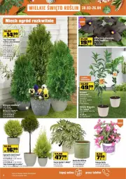 Gazetka promocyjna Obi - Ogród marzeń - Gazetka - ważna od 26.04 do 26.04.2021 - strona 4 - produkty: Bell, Bella, Ogród, Grejpfrut, Osłonka, Fa