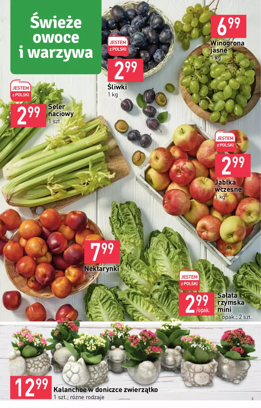 Gazetka promocyjna Stokrotka - Supermarket - ważna 01.09 do 07.09.2022 - strona 3 - produkty: Jabłka, Kalanchoe, Nektar, Owoce, Sałat, Seler naciowy, Warzywa, Wino, Winogrona