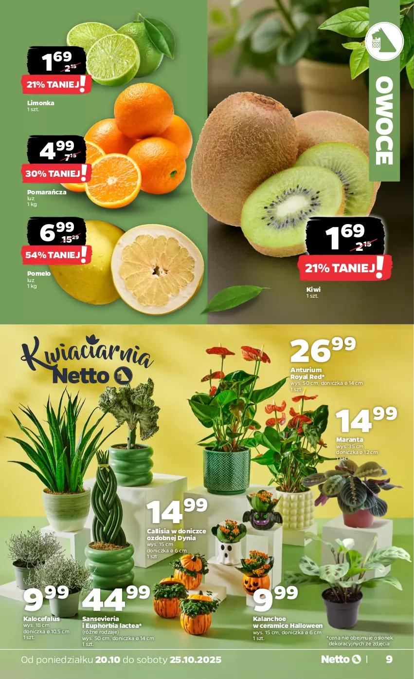 Gazetka promocyjna Netto - Od Poniedziałku - ważna 20.10 do 25.10.2025 - strona 9 - produkty: Fa, Kalanchoe, Kiwi, Limonka, Owoce, Pomelo
