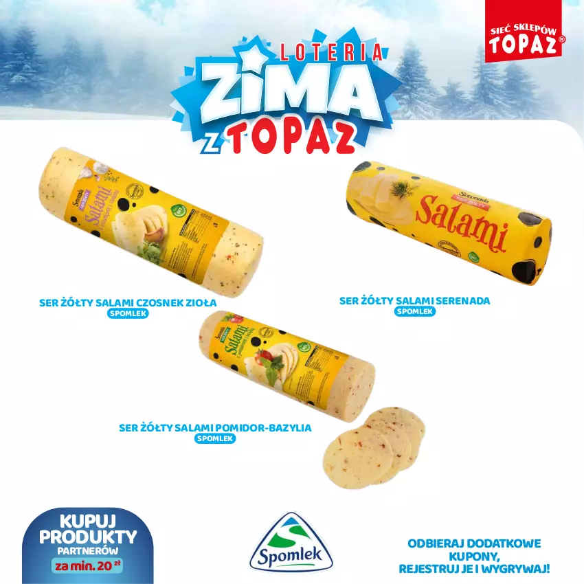 Gazetka promocyjna Topaz - Gazetka - ważna 02.12.2024 do 26.01.2025 - strona 17 - produkty: Bazyl, Bazylia, Czosnek, Gry, Salami, Ser