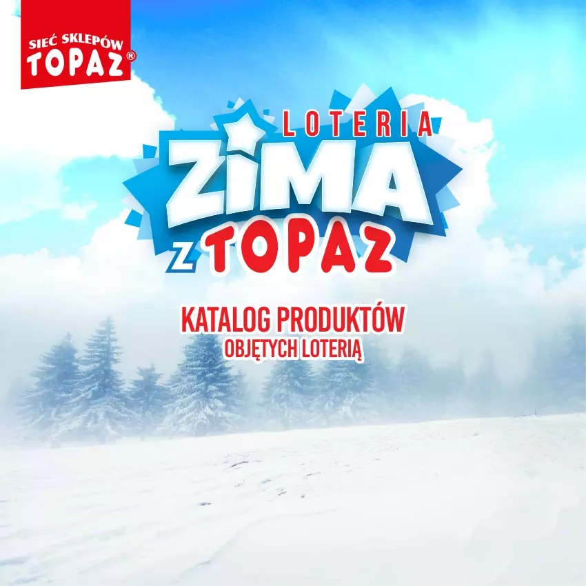 Gazetka promocyjna Topaz - Gazetka - ważna 02.12.2024 do 26.01.2025 - strona 98