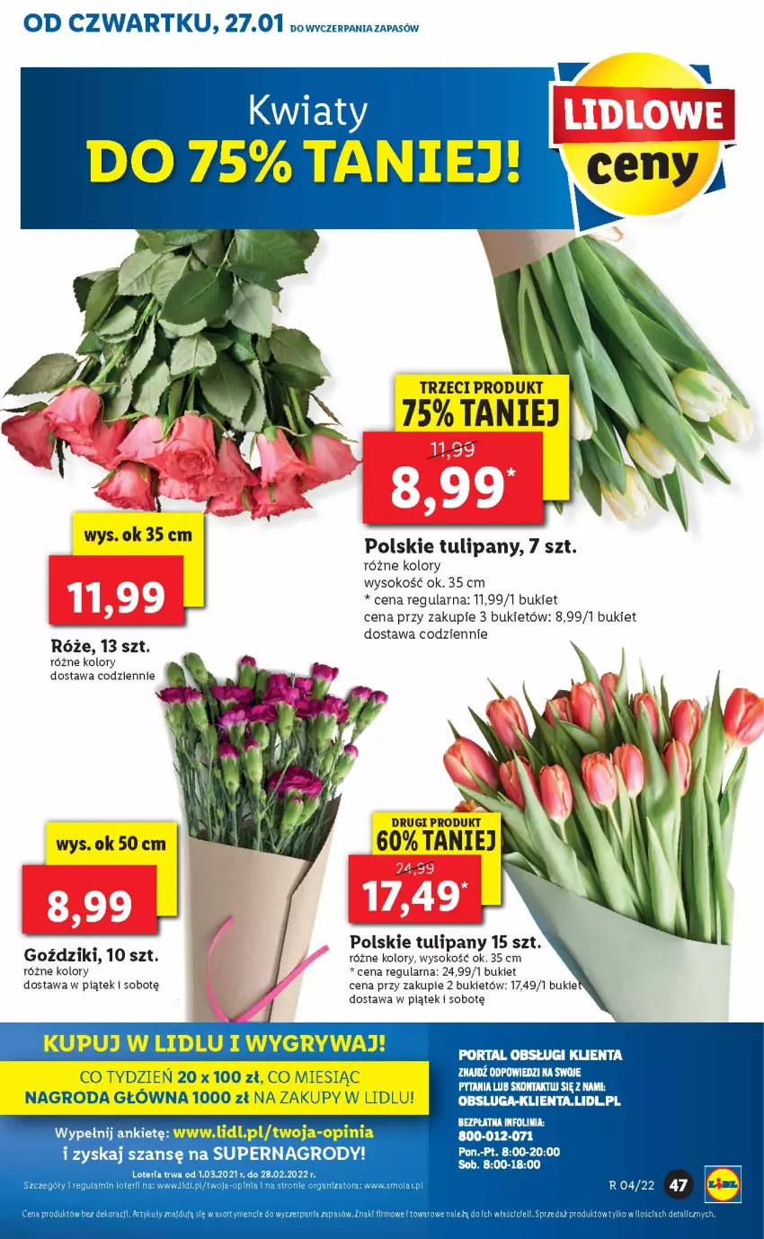 Gazetka promocyjna Lidl - GAZETKA - ważna 27.01 do 30.01.2022 - strona 47 - produkty: Bukiet, Gry, Mola, Sok, Tulipan