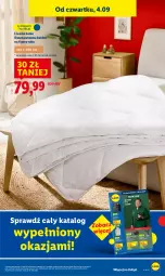 Gazetka promocyjna Lidl - GAZETKA - Gazetka - ważna od 06.09 do 06.09.2025 - strona 11 - produkty: Por, Ivar, Kołdra