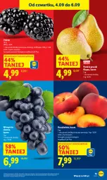 Gazetka promocyjna Lidl - GAZETKA - Gazetka - ważna od 06.09 do 06.09.2025 - strona 19 - produkty: Jeżyny, Gruszki, Winogrona, Brzoskwinie, Wino