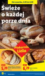 Gazetka promocyjna Lidl - GAZETKA - Gazetka - ważna od 06.09 do 06.09.2025 - strona 20 - produkty: Por, Rust