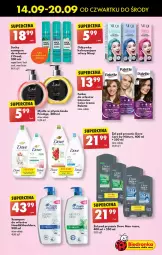 Gazetka promocyjna Biedronka - Od czwartku - Gazetka - ważna od 20.09 do 20.09.2023 - strona 51 - produkty: Palette, Mydło w płynie, Koc, Dove, Fusion, Szampon, Mydło, Vegeta, Niuqi, Fa