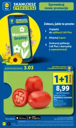 Gazetka promocyjna Lidl - GAZETKA - Gazetka - ważna od 05.03 do 05.03.2025 - strona 4 - produkty: Gra, Pomidory