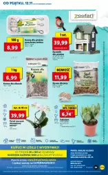 Gazetka promocyjna Lidl - GAZETKA - Gazetka - ważna od 14.11 do 14.11.2021 - strona 39 - produkty: Sok, Gry, Cień, O nas, Storczyk, Mola, Sukulent