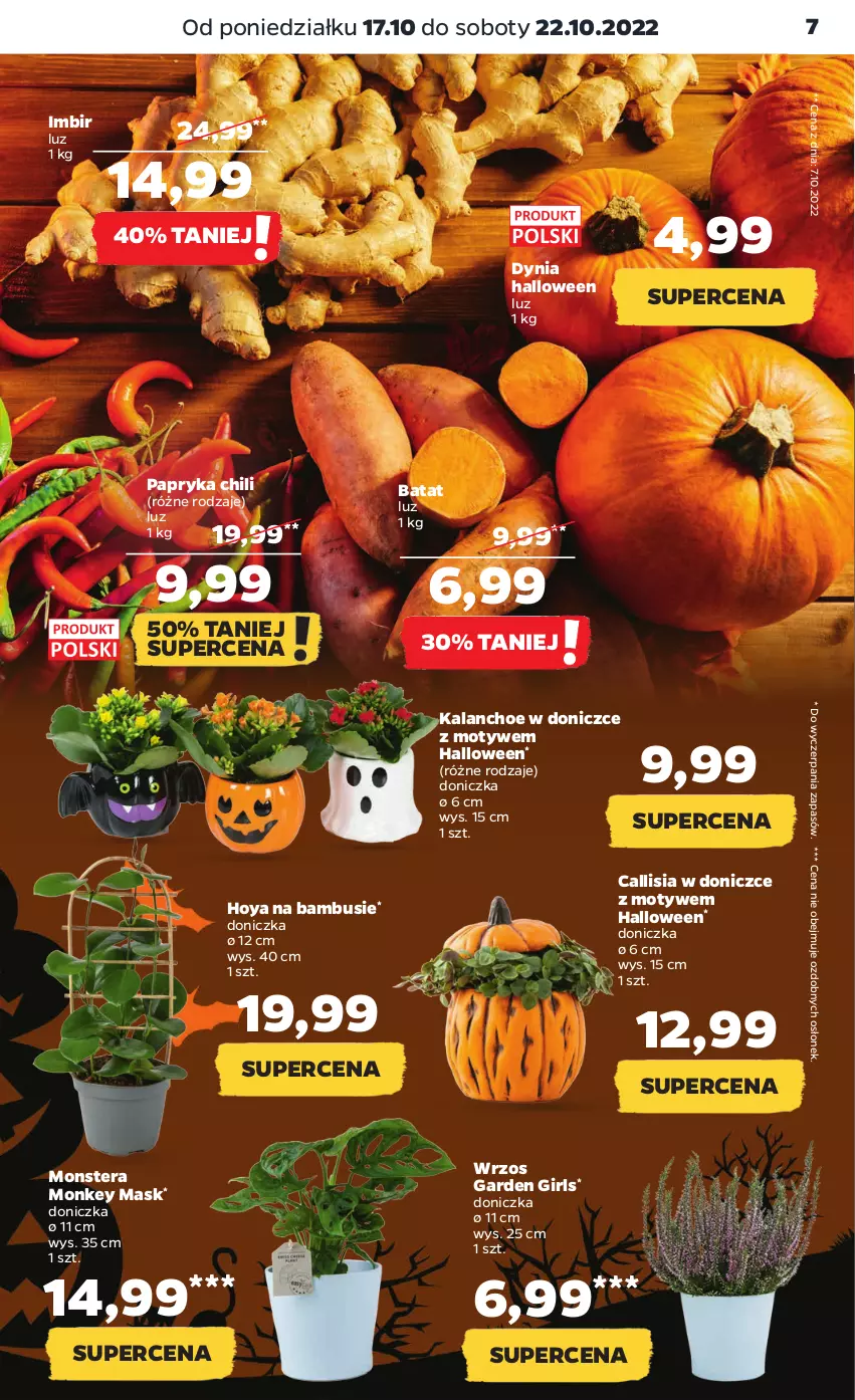 Gazetka promocyjna Netto - Artykuły spożywcze - ważna 17.10 do 22.10.2022 - strona 7 - produkty: Imbir, Kalanchoe, Papryka, Tera