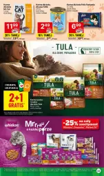 Gazetka promocyjna Delikatesy Centrum - NOWA GAZETKA Delikatesy Centrum od 15 lutego! 15-22.02.2024 - Gazetka - ważna od 22.02 do 22.02.2024 - strona 23 - produkty: Rum, Whiskas, Fanta, Felix, Fa