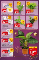 Gazetka promocyjna Auchan - Gazetka Koszyk Oszczędności Auchan Hipermarkety - Gazetka - ważna od 16.11 do 16.11.2022 - strona 27 - produkty: Pochłaniacz wilgoci, Top, Rum, Gra, Tablet, Granat, Ogród, Ceresit, LG, Fa