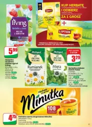 Gazetka promocyjna Dino - Gazetka - ważna od 22.07 do 22.07.2025 - strona 3 - produkty: Herbata czarna, Lipton, Irving, Herbata, Gres