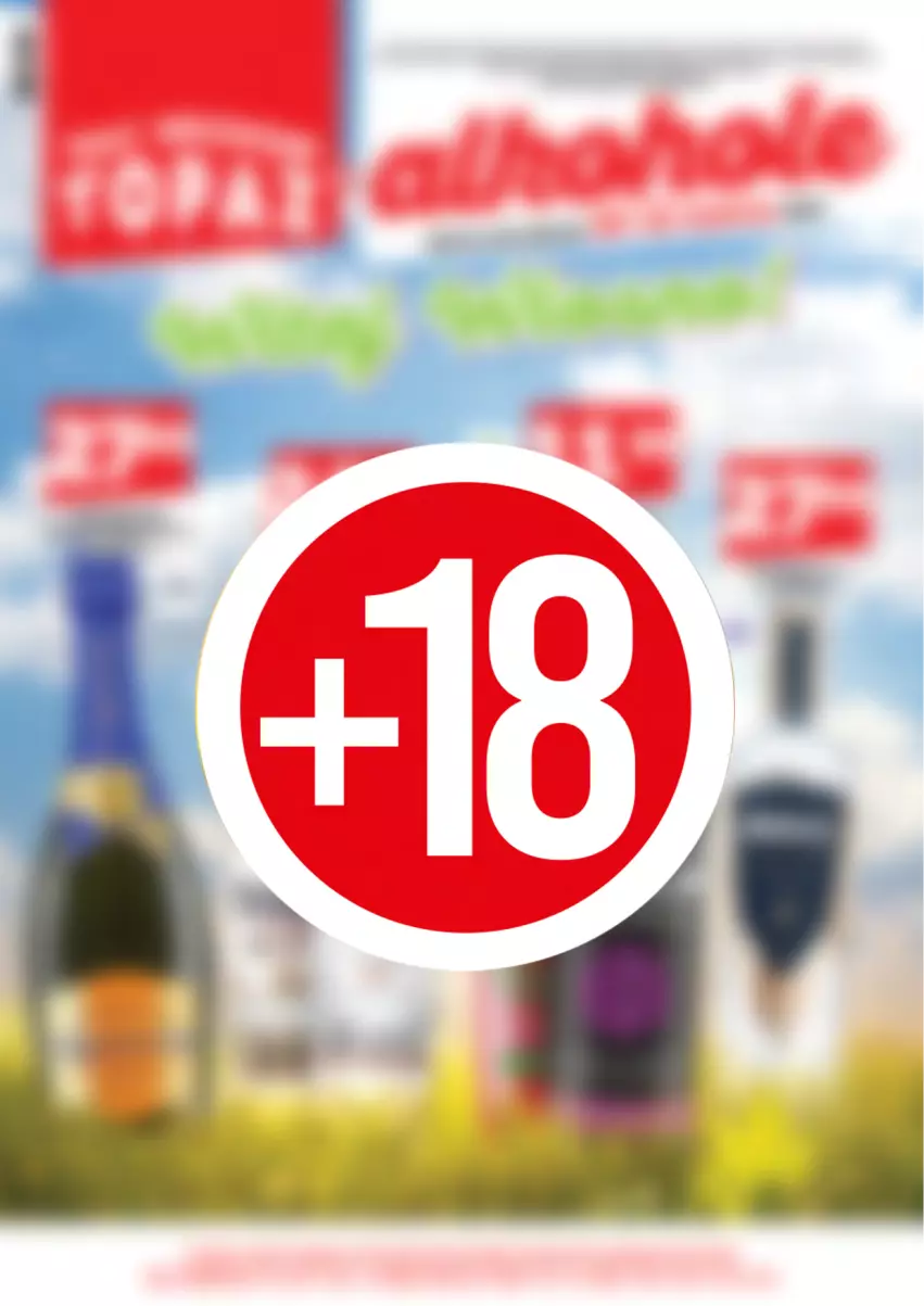Gazetka promocyjna Topaz - Gazetka - ważna 16.04 do 31.03.2026 - strona 1