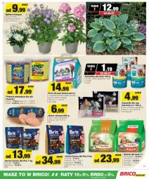 Gazetka promocyjna Bricomarche - Gazetka - ważna od 13.07 do 13.07.2024 - strona 12 - produkty: Kurczak, Gry, Brit, Królik, Pellet, Wołowina, Baton, Cat's Best, Sucha karma