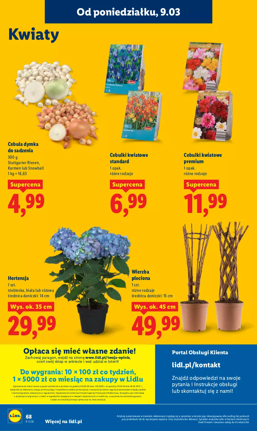 Gazetka promocyjna Lidl - Oferta ważna od 9.03 do 11.03 - ważna 09.03 do 11.03.2026 - strona 68 - produkty: Cebula, Gra, Laur, Mola, Por, Portal