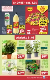 Gazetka promocyjna Aldi - Pełna oferta - Gazetka - ważna od 01.06 do 01.06.2024 - strona 23 - produkty: Piwa, Piwo, Por, Gra, Hibiskus, Wawel, Perła, Storczyk, Schweppes, Napój gazowany, Flora, Napój, Jednorożec