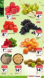 Gazetka promocyjna Intermarche - Gazetka - ważna od 09.10 do 09.10.2024 - strona 36 - produkty: Wino, Pomidor malinowy