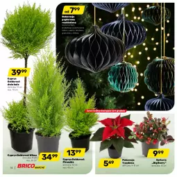 Gazetka promocyjna Bricomarche - Gazetka - Gazetka - ważna od 26.11 do 26.11.2022 - strona 14 - produkty: Gra, Papier, Poinsecja, Granat