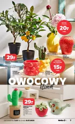 Gazetka promocyjna Netto - Od Czwartku Przemysłowa - Gazetka - ważna od 05.07 do 05.07.2025 - strona 7 - produkty: Top, Konewka, Kaktus, Wazon, Drzwi, Osłonka