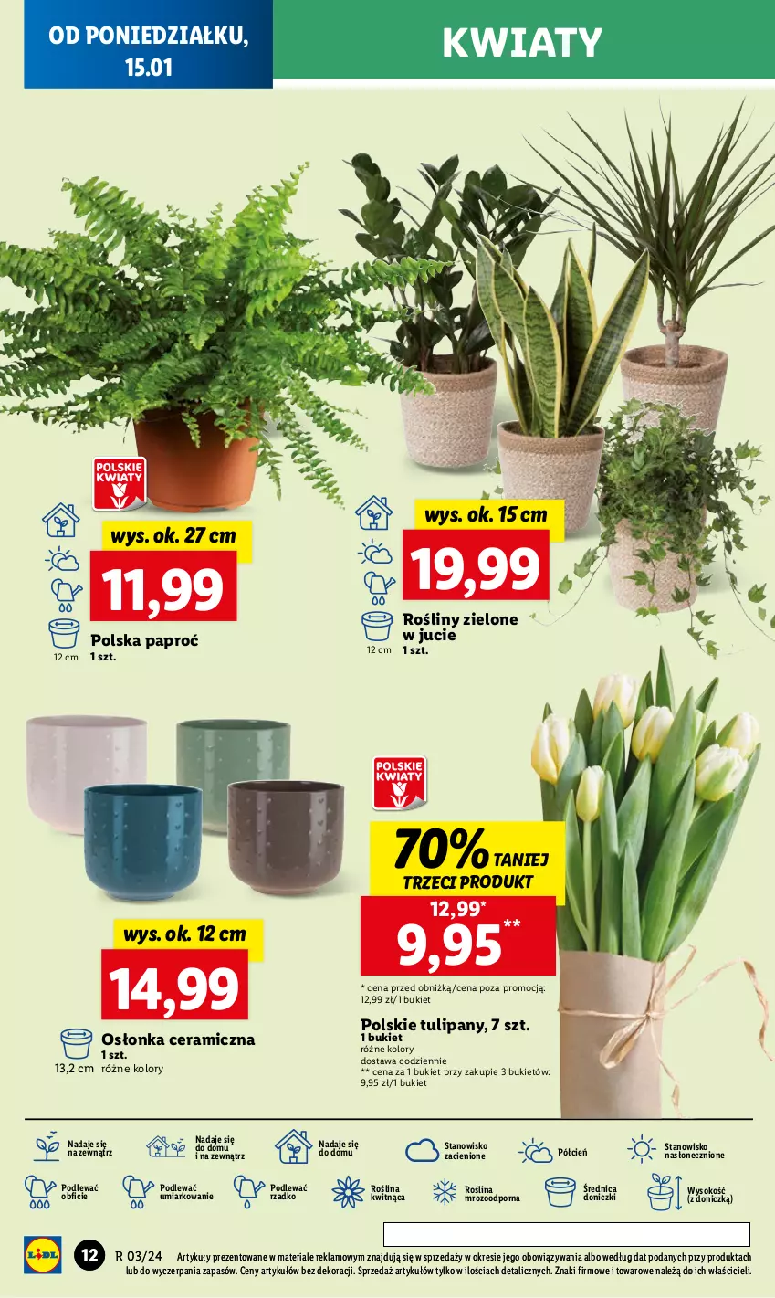 Gazetka promocyjna Lidl - GAZETKA - ważna 15.01 do 17.01.2024 - strona 12 - produkty: Bukiet, Cień, O nas, Osłonka, Por, Sok, Tulipan