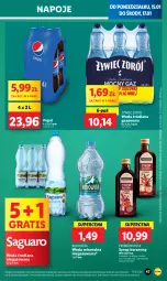 Gazetka promocyjna Lidl - GAZETKA - Gazetka - ważna od 17.01 do 17.01.2024 - strona 47 - produkty: Gra, Napoje, LANA, Pepsi, Syrop, Woda mineralna, Woda