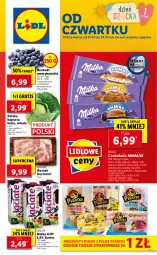 Gazetka promocyjna Lidl - GAZETKA - Gazetka - ważna od 29.05 do 29.05.2021 - strona 1 - produkty: Por, Gra, Borówka, Boczek bez kości, PIKOK, Pilos, Czekolada, Boczek, Oreo, Milka, Mleko