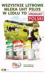 Gazetka promocyjna Lidl - GAZETKA - Gazetka - ważna od 29.05 do 29.05.2021 - strona 22 - produkty: Pilos