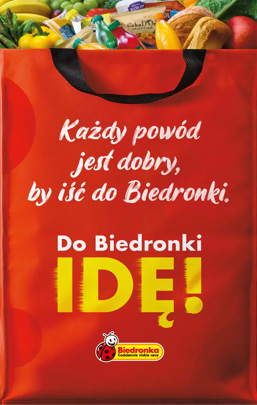 Gazetka promocyjna Biedronka - Gazetka - Biedronka.pl - ważna 16.01 do 21.01.2023 - strona 49