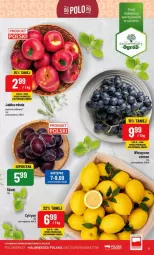 Gazetka promocyjna PoloMarket - Gazetka - ważna od 12.09 do 12.09.2023 - strona 3 - produkty: Cytryny, Wino, Jabłka