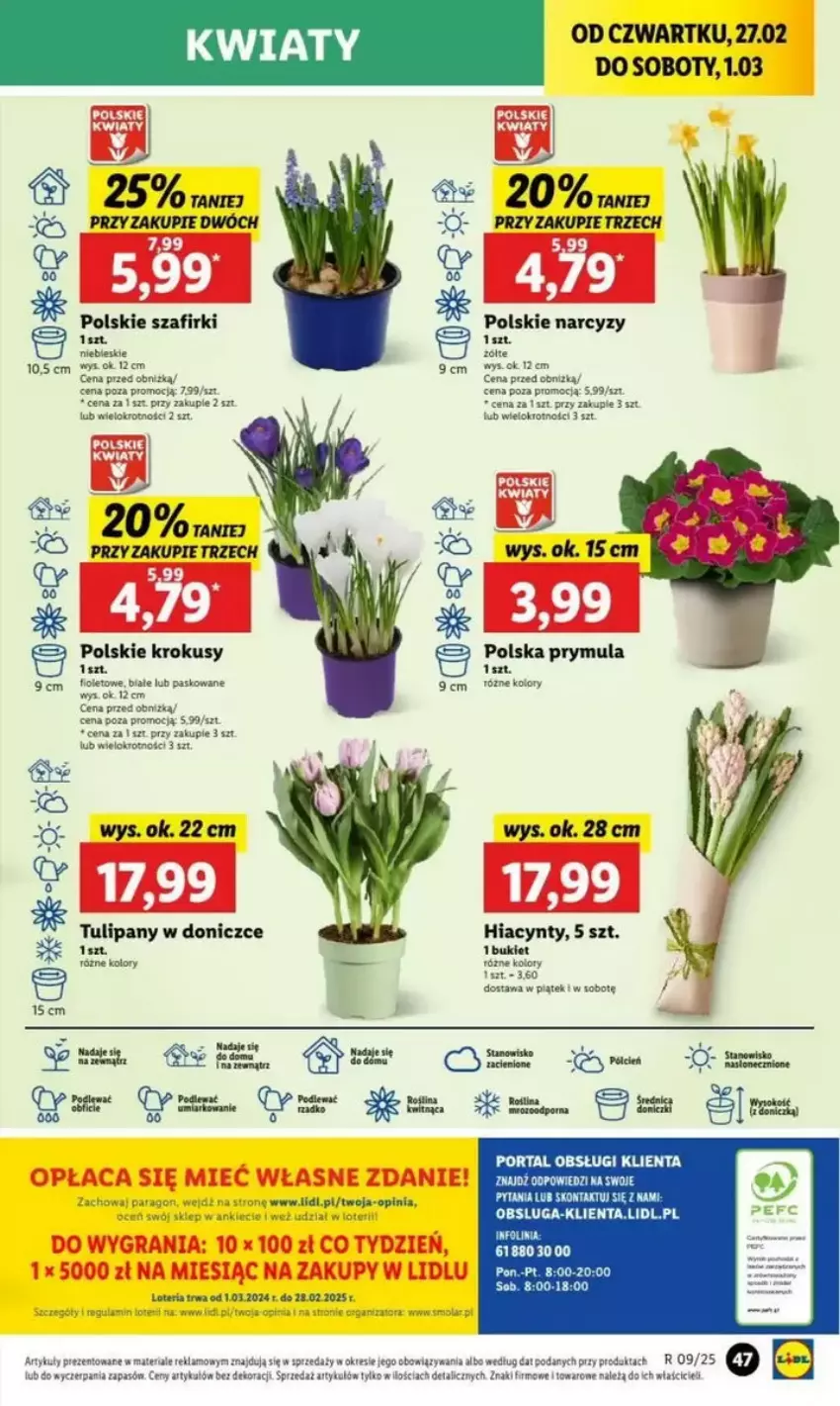 Gazetka promocyjna Lidl - ważna 27.02 do 05.03.2025 - strona 49 - produkty: Bukiet, Cień, Fa, Gra, Hiacynt, Krokus, LANA, Narcyz, Por, Portal, Prymula, Pur, Robot, Tulipan