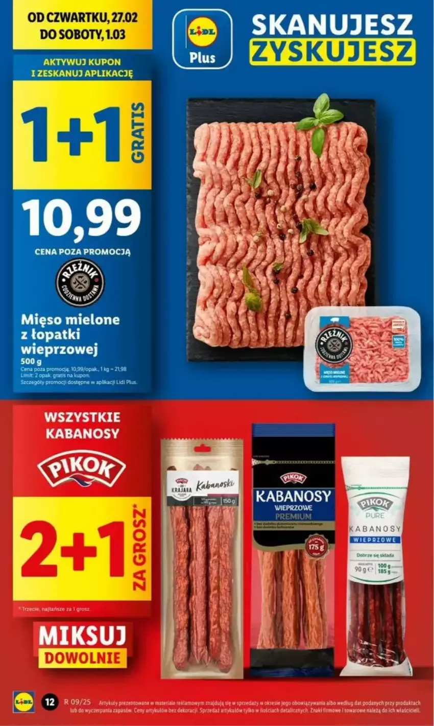 Gazetka promocyjna Lidl - ważna 27.02 do 05.03.2025 - strona 6 - produkty: Fa, Gra, Kabanos, Mięso, Mięso mielone