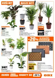 Gazetka promocyjna Obi - Gazetka OBI - Gazetka - ważna od 27.01 do 27.01.2026 - strona 5 - produkty: Pur, NBA, Płyta gipsowa, Wycieraczka, Rama, Chia, Tran, Tarta, Palma, Gładź polimerowa, Płyta, Grunt, Ogród, Kokos, Osłonka, Fa