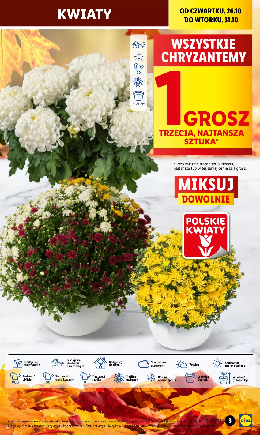 Gazetka promocyjna Lidl - GAZETKA - ważna 26.10 do 28.10.2023 - strona 3 - produkty: Cień, O nas, Por, Sok